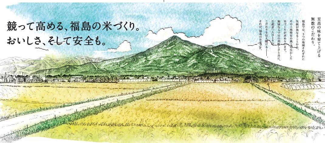 パールライス 福島県産 白米 天のつぶ 5kg 令和7年産