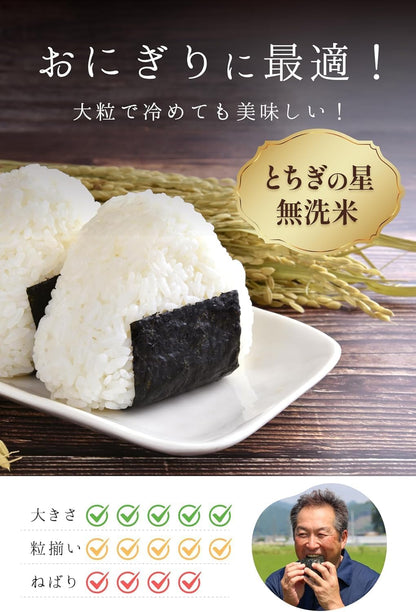 農業生産法人ワタナベ 新米 令和7年 無洗米 5kg 栃木県 とちぎの星
