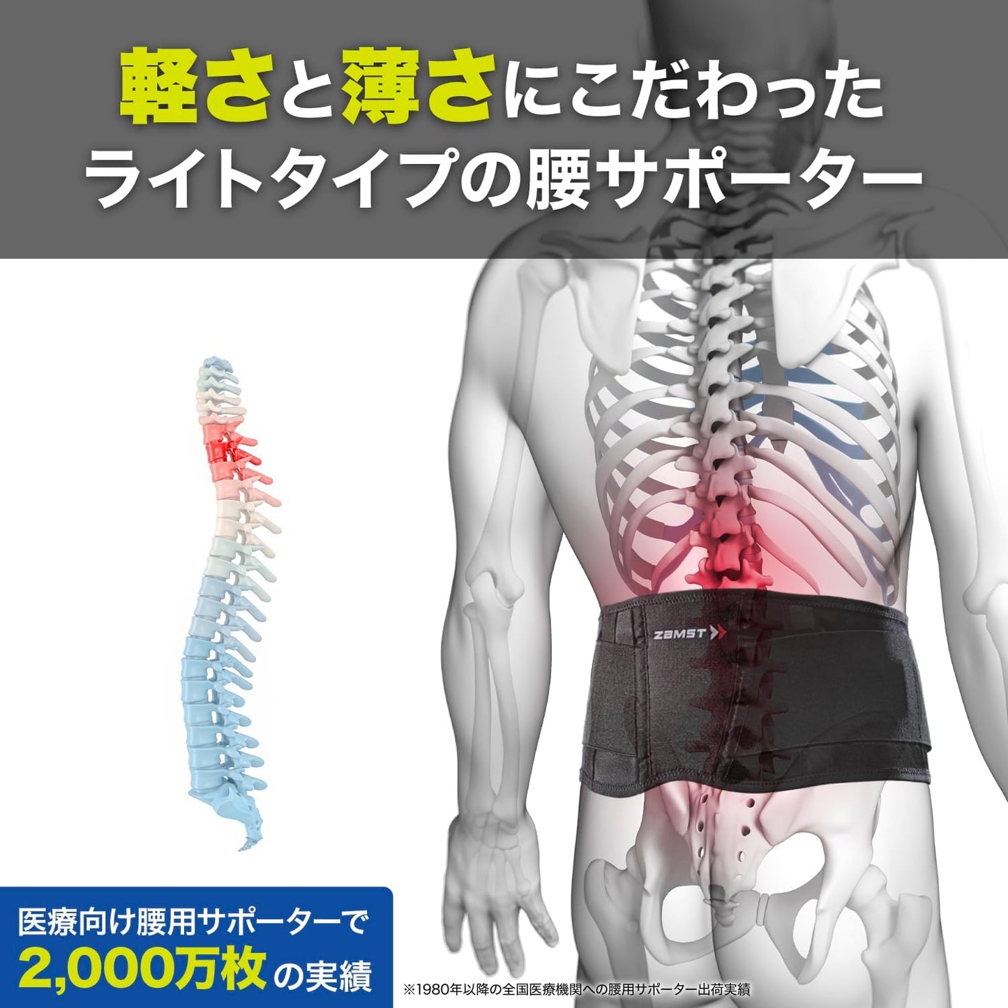 ザムスト（ZAMST）動きやすさと固定力を兼ね備えた 腰サポーター ZWシリーズ  男女兼用・簡単着脱・圧迫力調節可能・高通気性