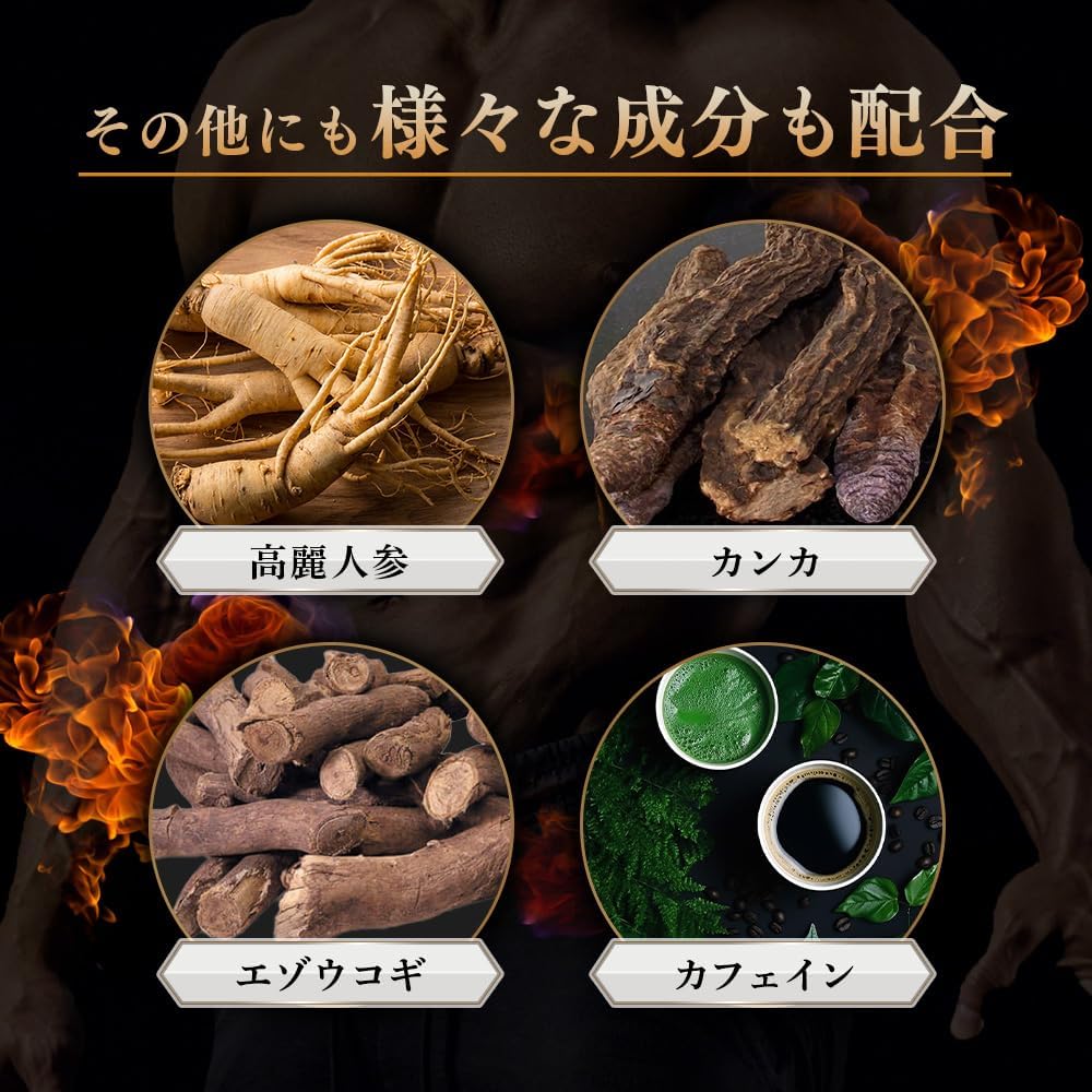 GRIFFX ActiveCore (グリフィス アクティブコア)高麗人参 シトルリン マカ 亜鉛 アルギニン 栄養機能食品 厳選成分配合 サプリ 国内生産 30錠入り