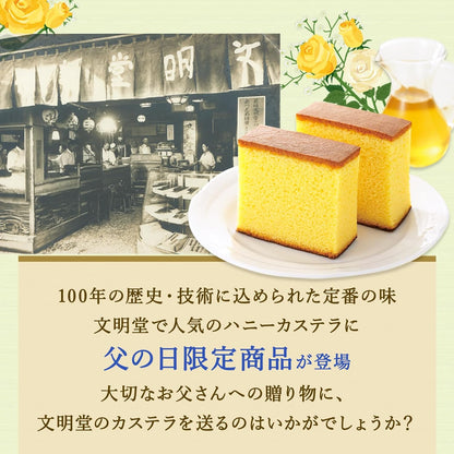 文明堂 干支カステラ１号（包装品）御年賀／お年賀／お正月／ギフト／贈答品／手土産／お返し／お礼