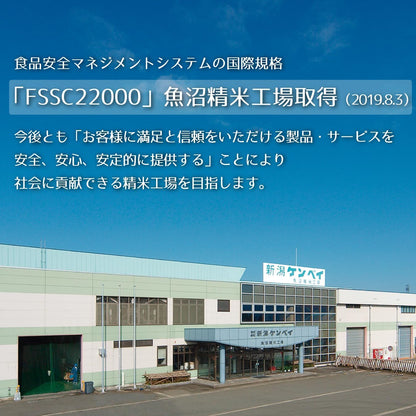 新潟県産新之助 無洗米 5kg 令和7年産