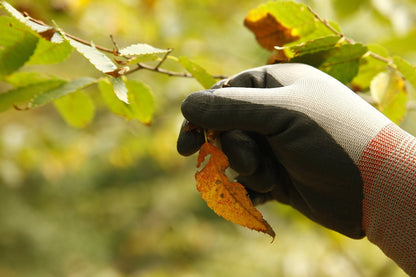 スリーエム  コンフォートグリップ グローブ グリーン Mサイズ GLOVE-GRE-M (× 2)