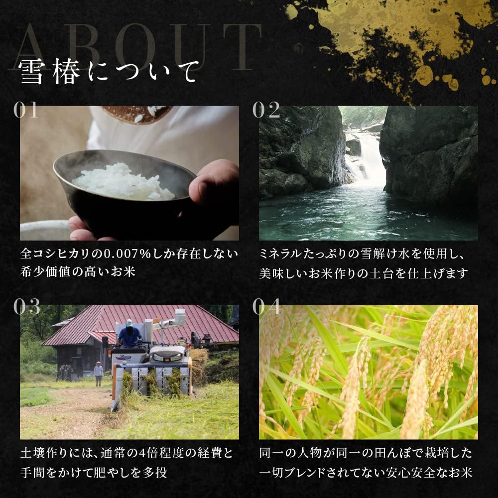 令和7年産 新米 魚沼産コシヒカリ 雪椿 2kg 特別栽培米 減農薬栽培