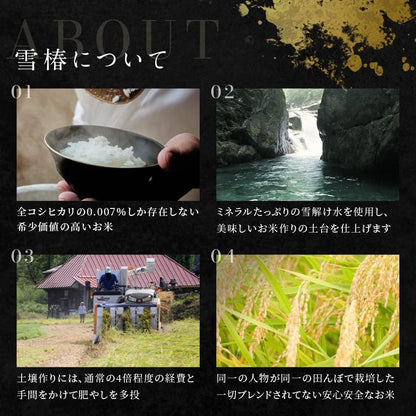 令和7年産 新米 魚沼産コシヒカリ 雪椿 2kg 特別栽培米 減農薬栽培