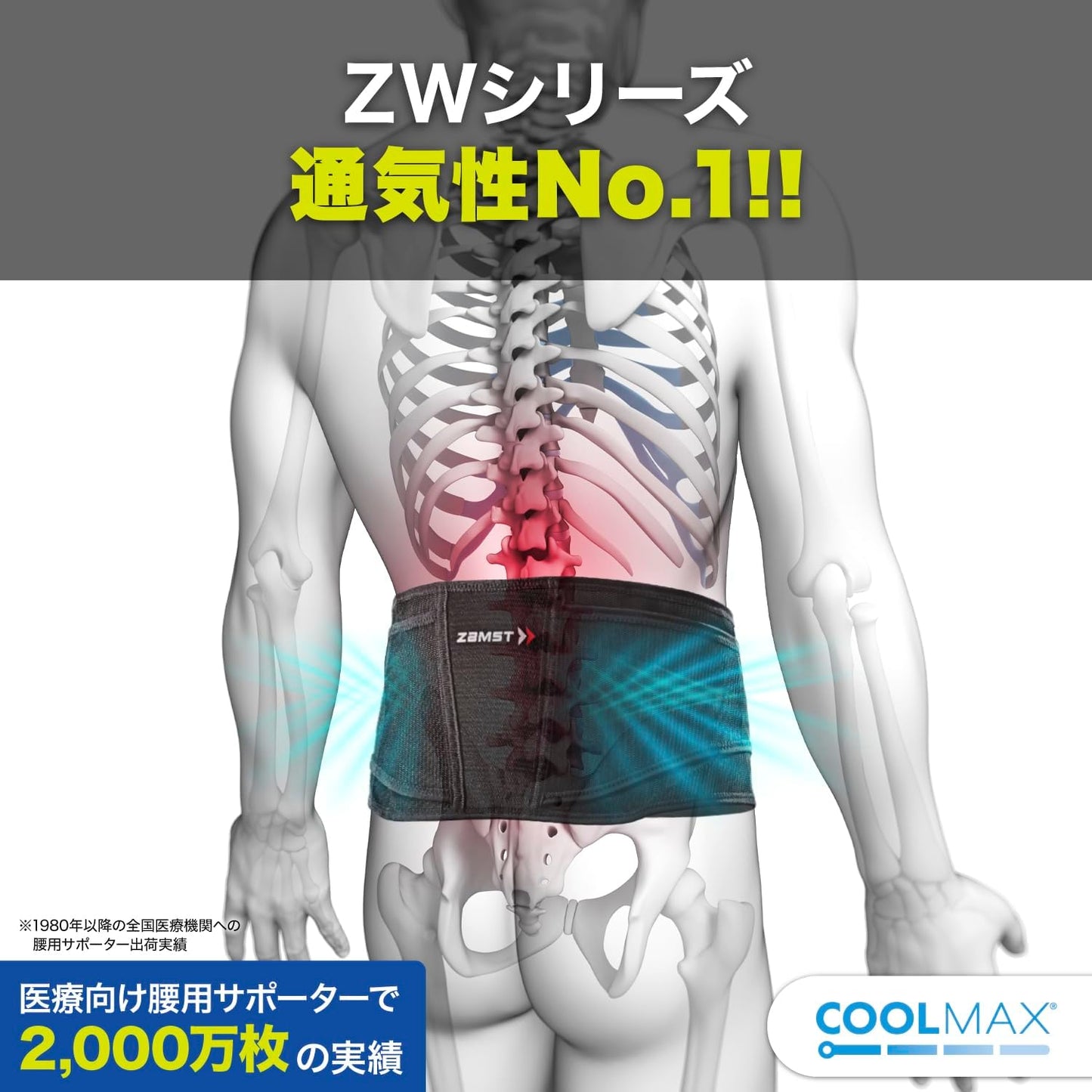 ザムスト（ZAMST）動きやすさと固定力を兼ね備えた 腰サポーター ZWシリーズ  男女兼用・簡単着脱・圧迫力調節可能・高通気性