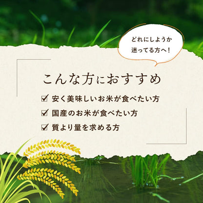 野沢農産【精米】国内産 ブレンド (5kg)