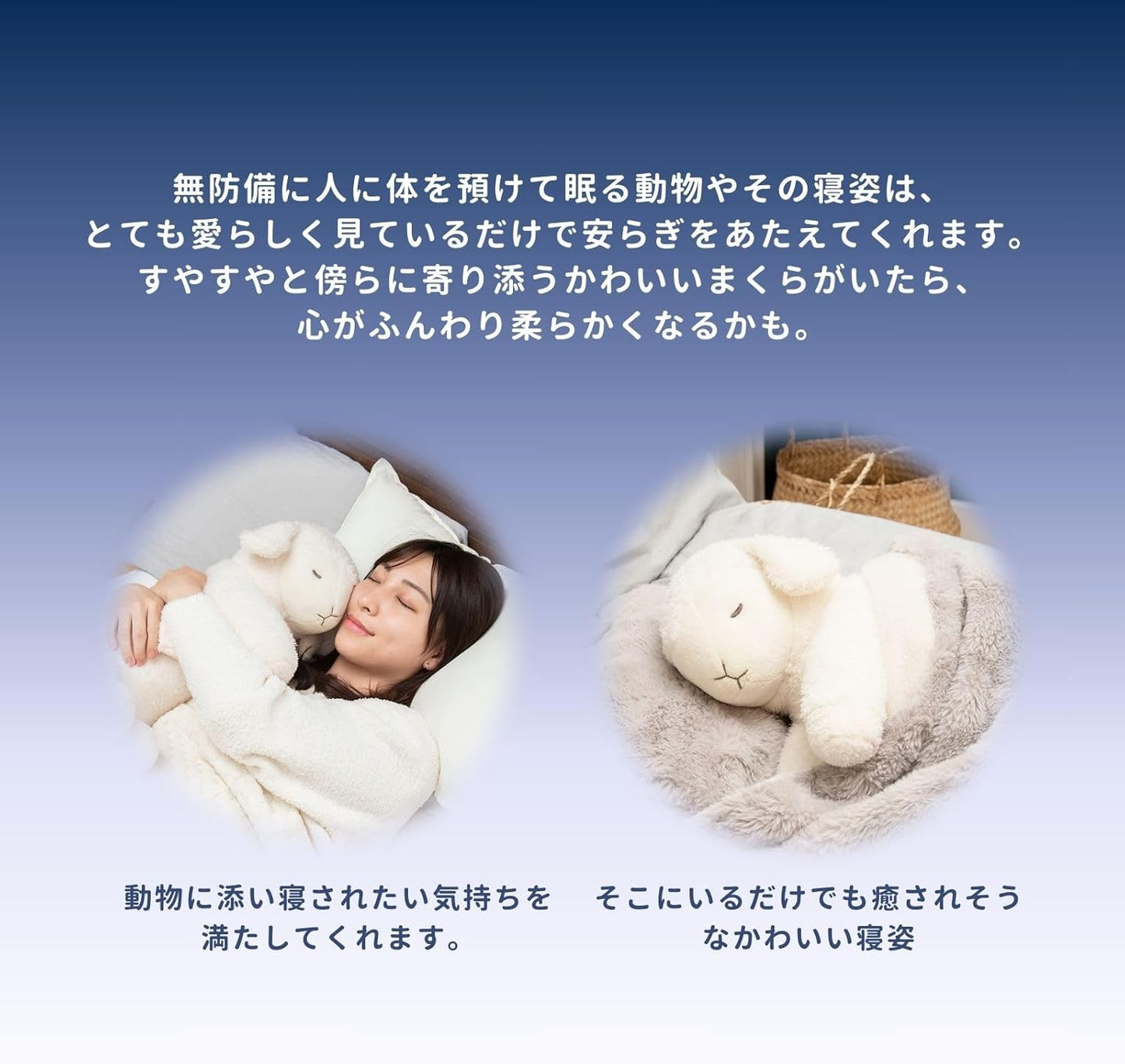 りぶはあと ソイネ ブラン 添い寝まくら ぬいぐるみ Mサイズ 全長約43cm