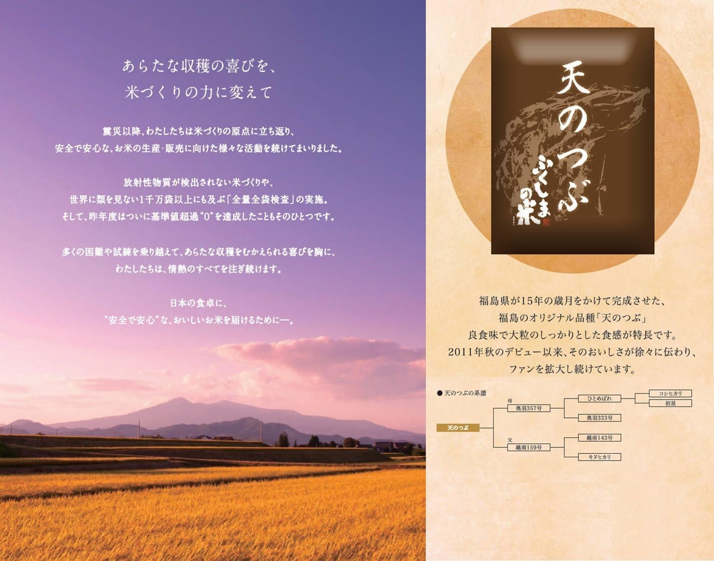 パールライス 福島県産 白米 天のつぶ 5kg 令和7年産