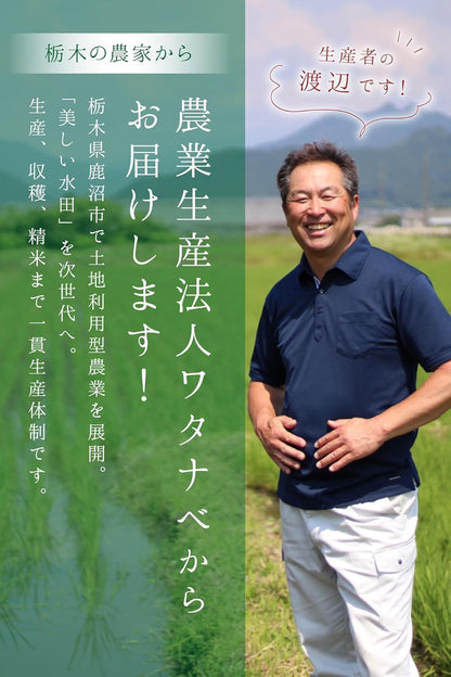 農業生産法人ワタナベ 新米 令和7年 無洗米 5kg 栃木県 とちぎの星