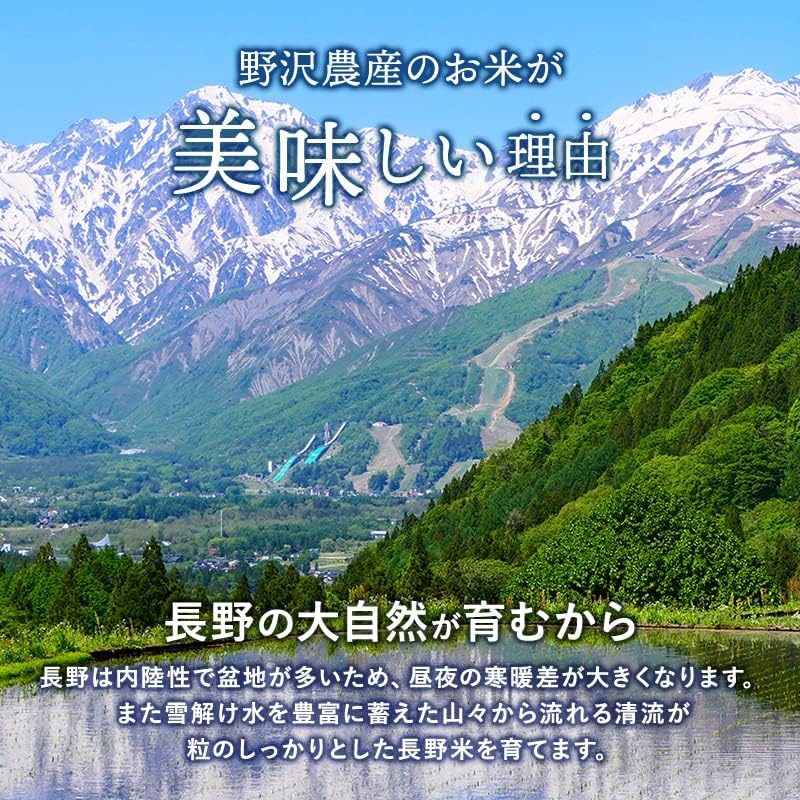 野沢農産 新米 令和7年産 お米 長野県産 無洗米 (30kg, つきあかり)