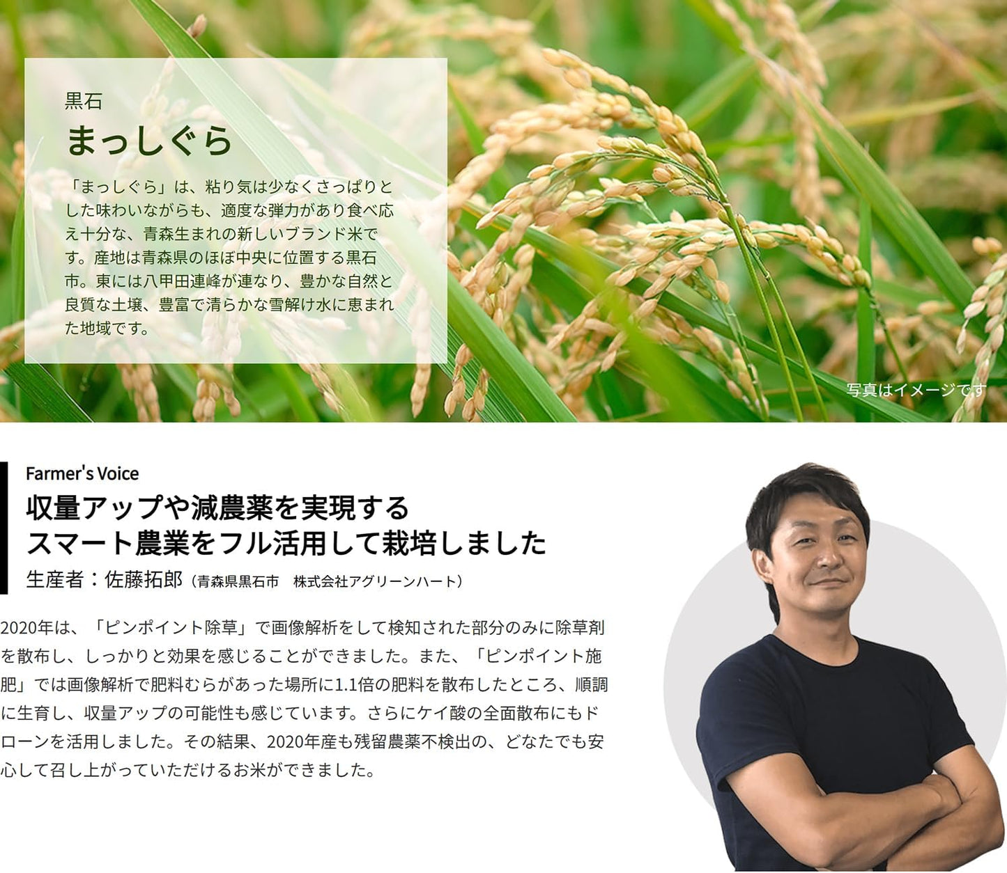 まっしぐら 青森県産 5kg（白米・精米・令和7年産・残留農薬不検出）