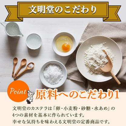 文明堂のカステラ 0.5A号 手土産／ギフト／お礼／お返し 2本入（5切れ×2本）