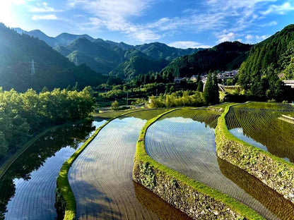 熊本県産 ヒノヒカリ 5kg 【 無洗米 】