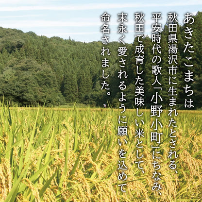 Yahoo秋田県産 あきたこまち 無洗米 5kg 令和7年産