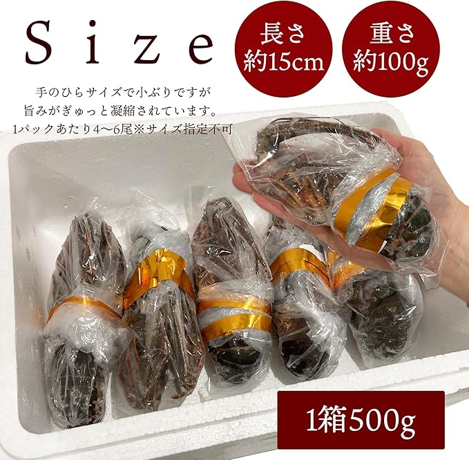 千葉県産 伊勢海老 4～6尾 約450g｜冷凍・プライドフィッシュ認定・おせち 自宅用