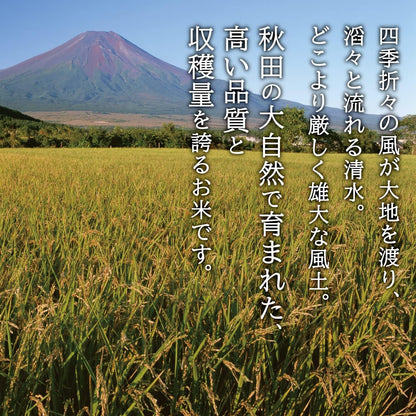 Yahoo秋田県産 あきたこまち 無洗米 5kg 令和7年産