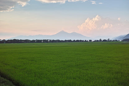 パールライス 福島県産 白米 天のつぶ 5kg 令和7年産