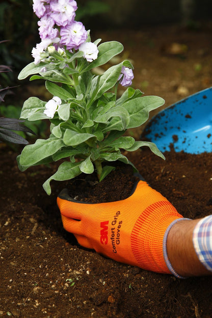 スリーエム  コンフォートグリップ グローブ グリーン Mサイズ GLOVE-GRE-M (× 2)