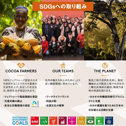 ガレー（Galler） クリスマス・お年賀・ギフト用（クッキー30枚入り・個包装・手さげ袋付き）