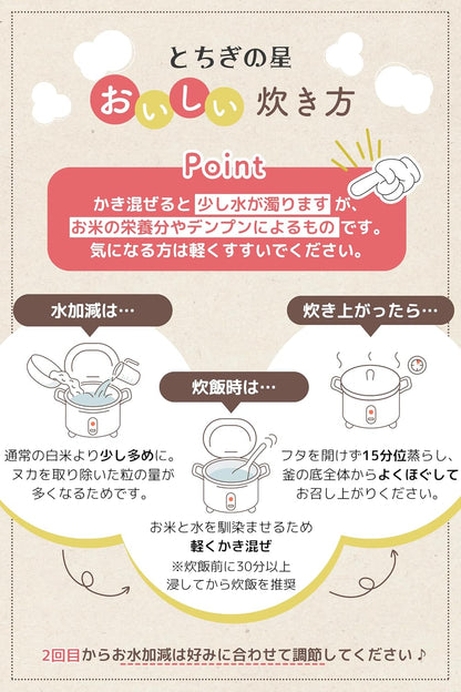農業生産法人ワタナベ 新米 令和7年 無洗米 5kg 栃木県 とちぎの星