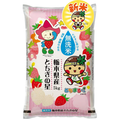農業生産法人ワタナベ 新米 令和7年 無洗米 5kg 栃木県 とちぎの星
