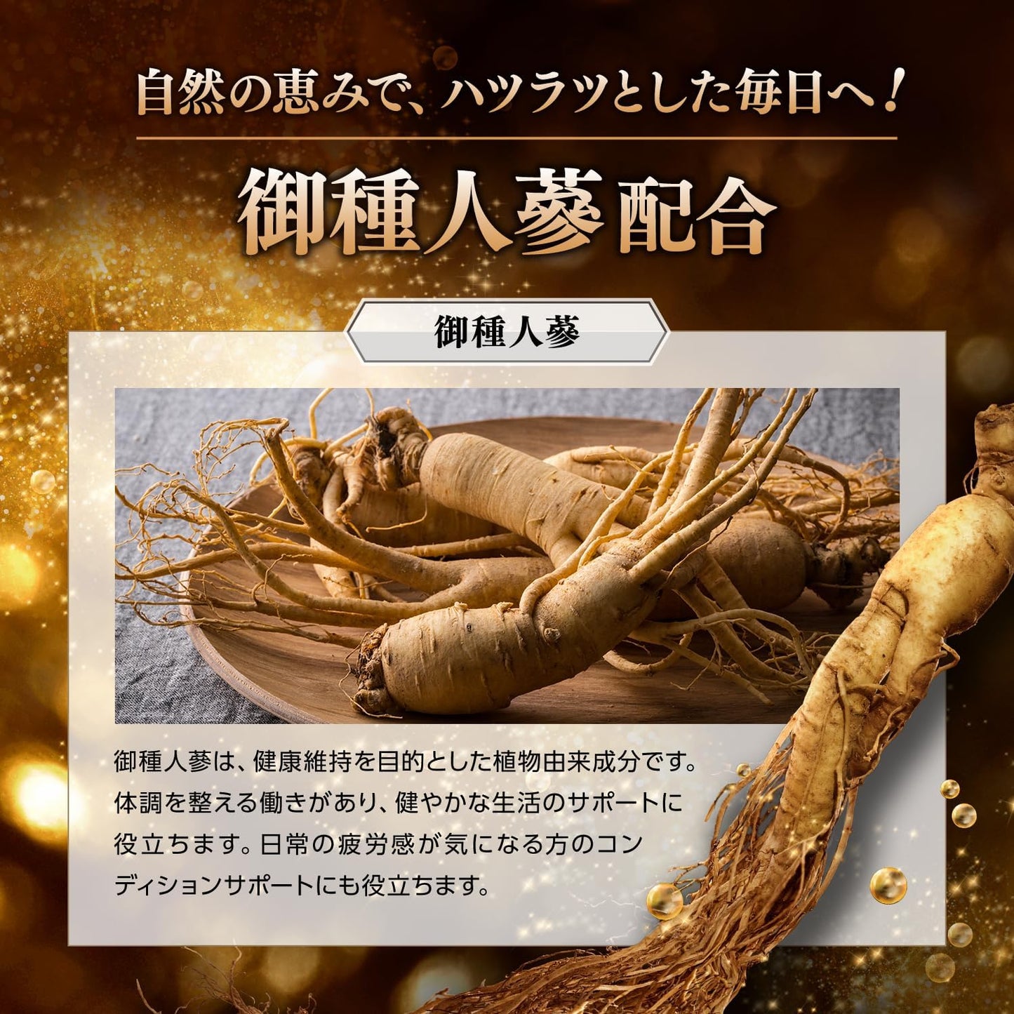 GRIFFX ActiveCore (グリフィス アクティブコア)高麗人参 シトルリン マカ 亜鉛 アルギニン 栄養機能食品 厳選成分配合 サプリ 国内生産 30錠入り