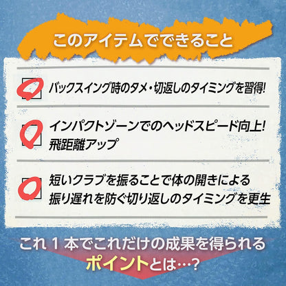 ダイヤゴルフ（DAIYA GOLF） ダイヤスイングシリーズ スイング練習器具 1個