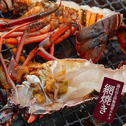 千葉県産 伊勢海老 4～6尾 約450g｜冷凍・プライドフィッシュ認定・おせち 自宅用