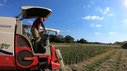 熊本県産 ヒノヒカリ 5kg 【 無洗米 】