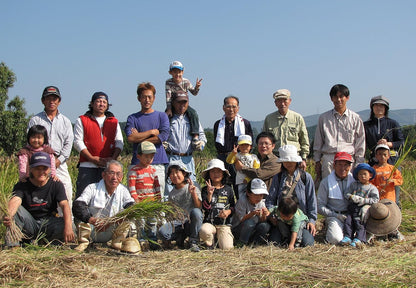 熊本県産 ヒノヒカリ 5kg 【 無洗米 】