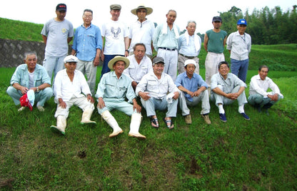 熊本県産 ヒノヒカリ 5kg 【 無洗米 】