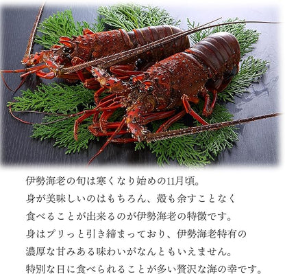 千葉県産 伊勢海老 4～6尾 約450g｜冷凍・プライドフィッシュ認定・おせち 自宅用