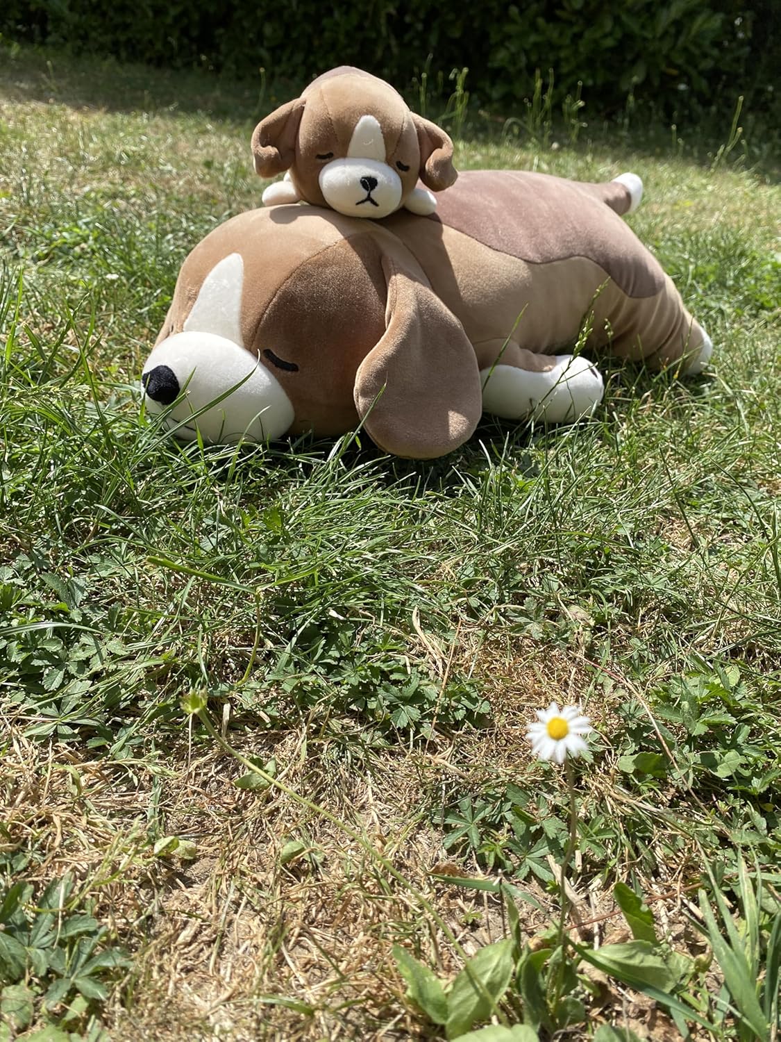 Livheart 抱きまくら 犬 ふわふわ かわいい ぬいぐるみ...