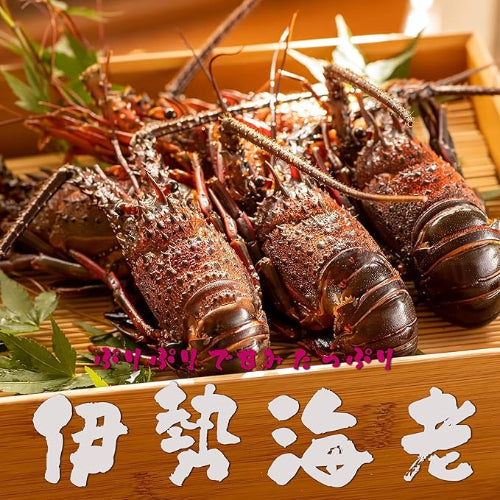 千葉県産 伊勢海老 4～6尾 約450g｜冷凍・プライドフィッシュ認定・おせち 自宅用