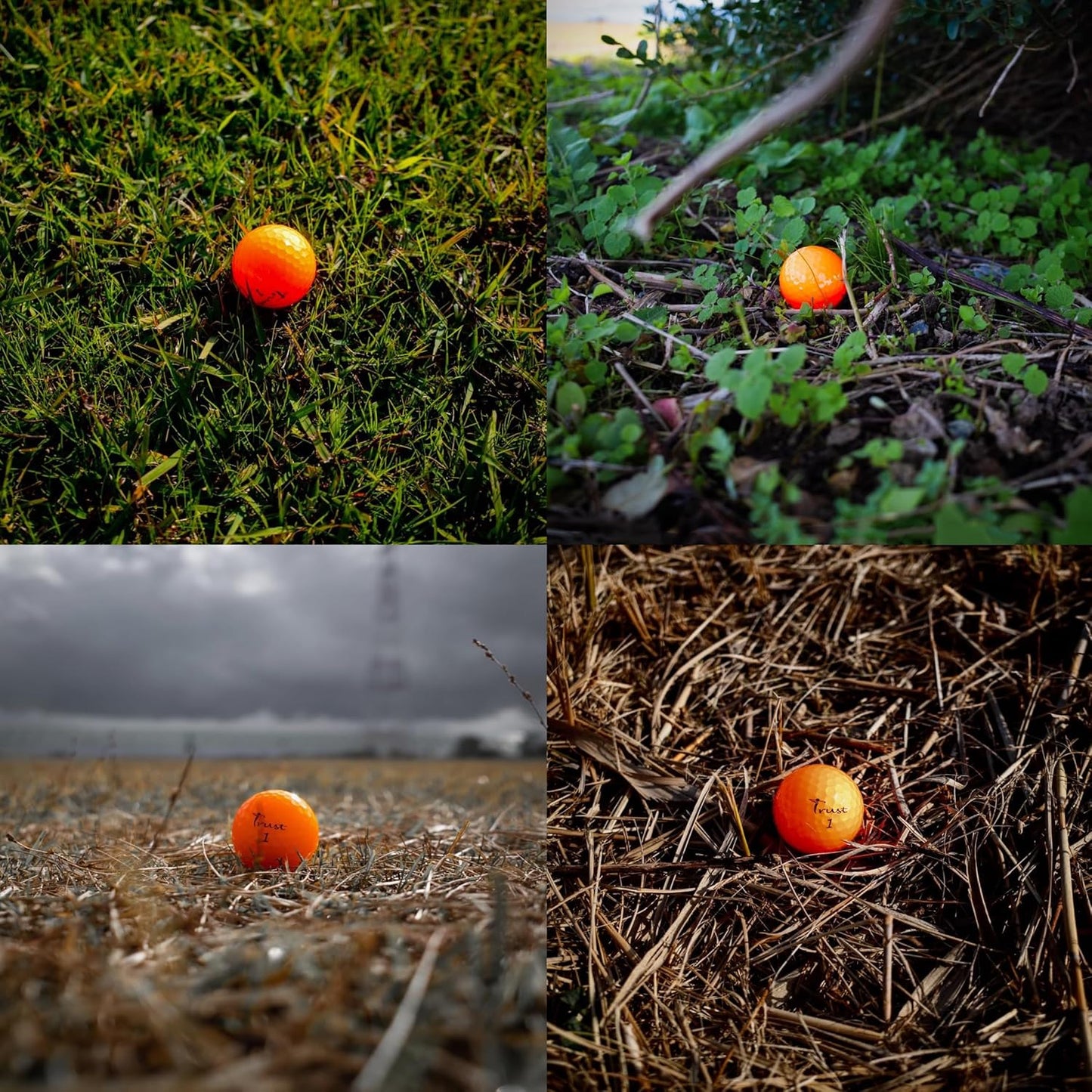 TRUST トラスト ゴルフボール Panther パンサー ウレタンカバー 1ダース12個 / 4ダース48個 オレンジ